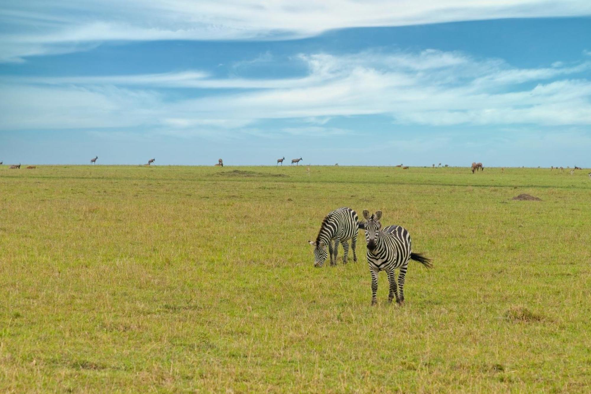 Muthu Keekorok Lodge, Maasai Mara, Narok Exterior photo